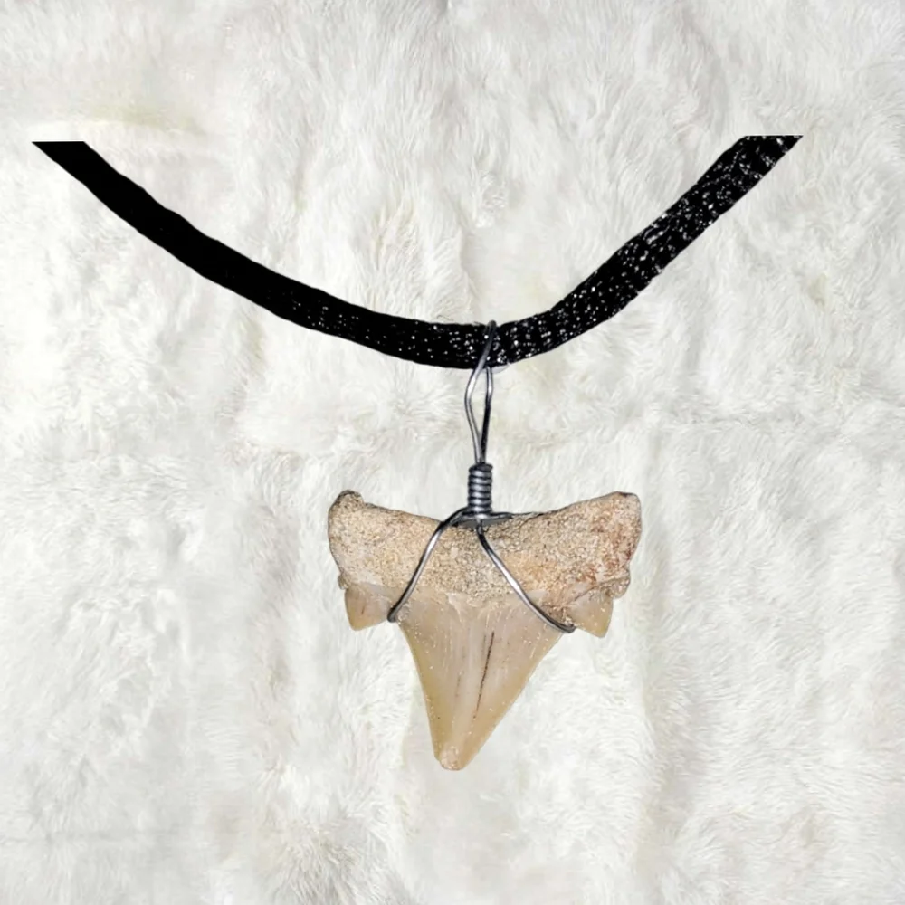 Genuine Fossilized Shark Tooth Pendant w/ Cord Necklace